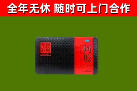 昌邑回收阿胶